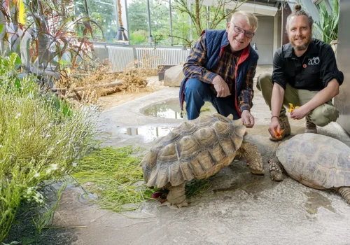 norbert-schilff-und-marcel-stawinoga-im-schildkroetenhaus-foto-kevin-roolf